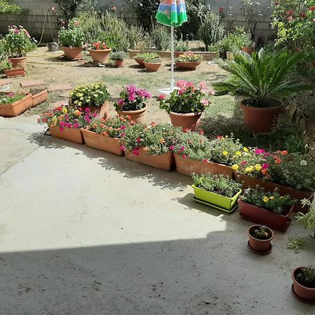 Casa Vacanze Millefiori Codice Iun Q3156 Teulada Buitenkant foto
