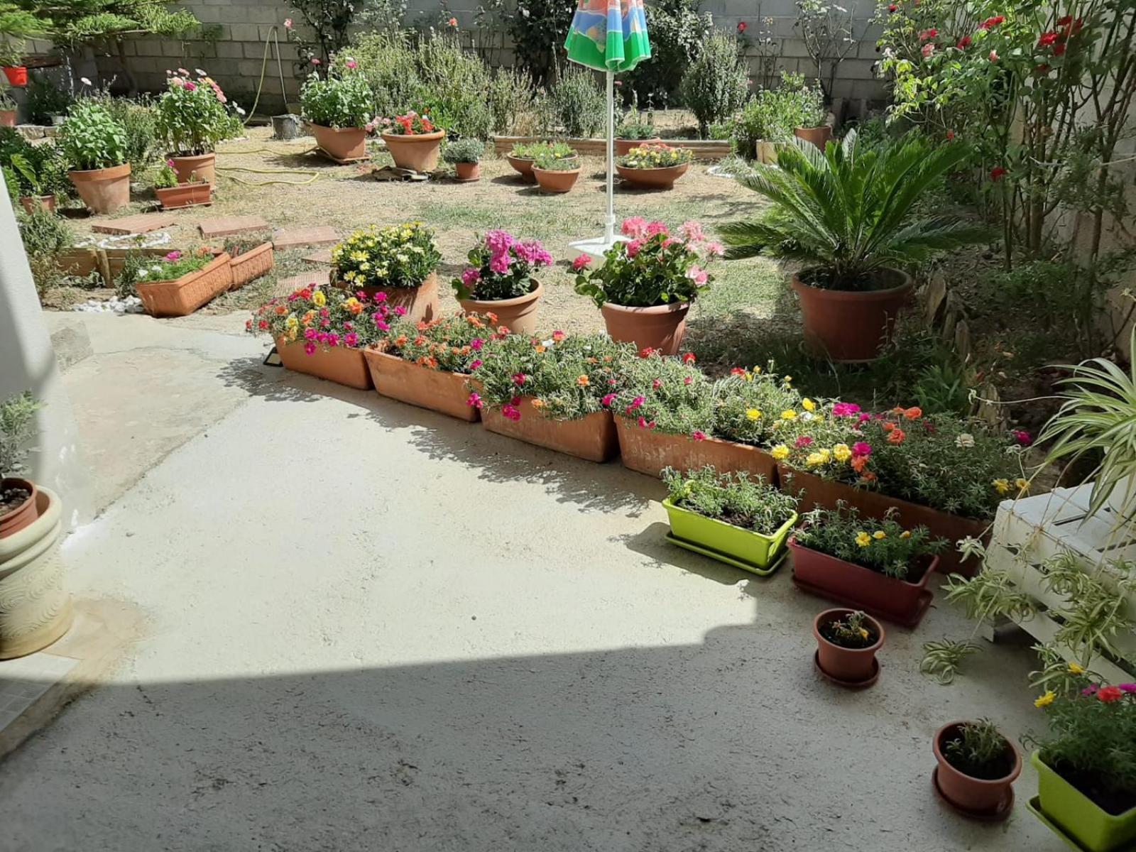 Casa Vacanze Millefiori Codice Iun Q3156 Teulada Buitenkant foto